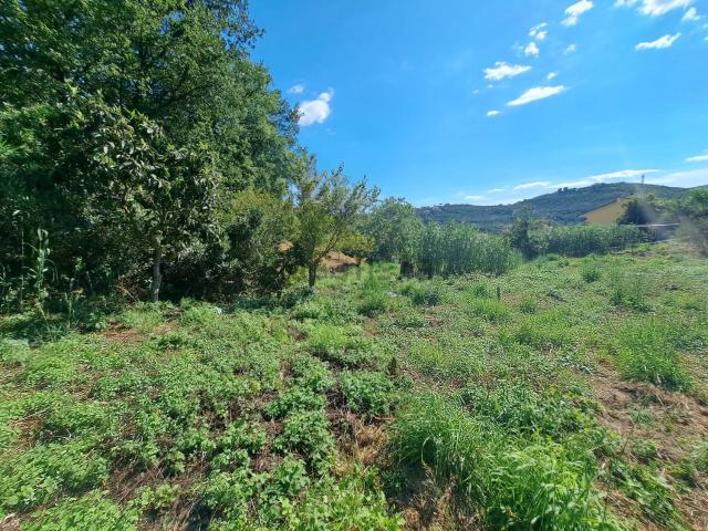 Terreno in vendita di 1600 m² in Frazione Caramagnetta
