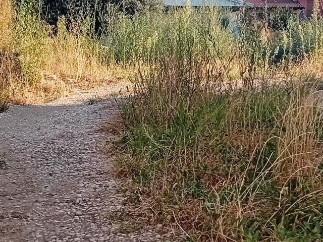 Terreno in vendita di 1600 m² in Via Mirabello