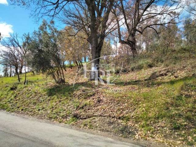 Terreno in vendita di 1600 m² in Via Sanzio
