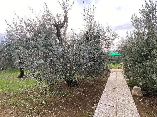 Terreno in vendita di 1600 m²