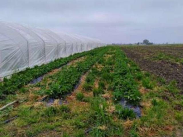 Terreno in vendita di 160 m² in Via Alberello