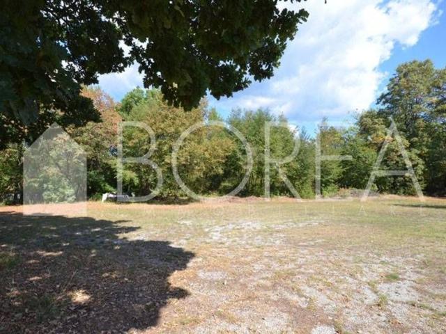 Terreno in vendita di 1613 m²