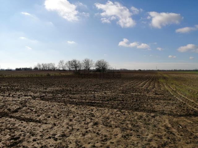 Terreno in vendita di 16216 m²