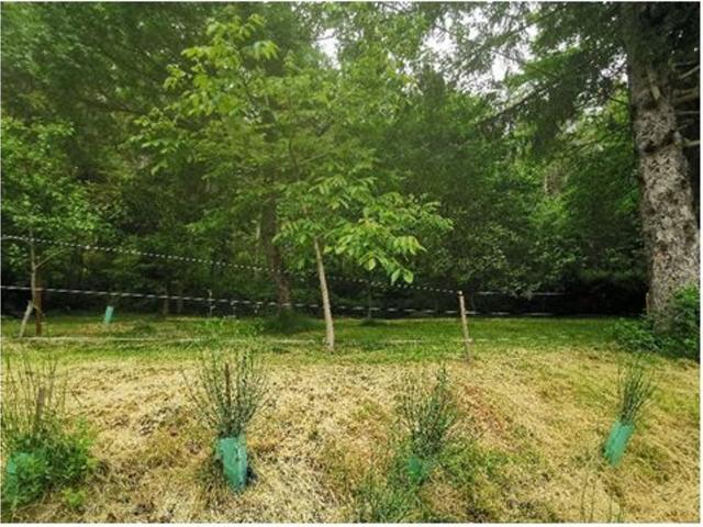 Terreno in vendita di 1626 m² in Località strabatenza