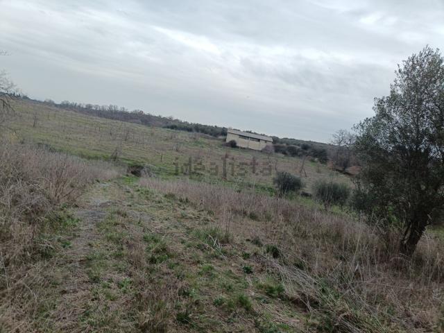 Terreno in vendita di 174000 m² in Via Doganella