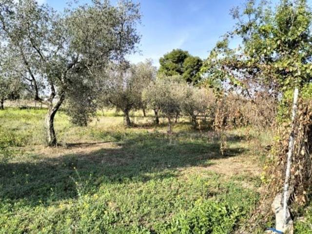 Terreno in vendita di 1740 m² in Strada STATALE 16 ADRIATICA