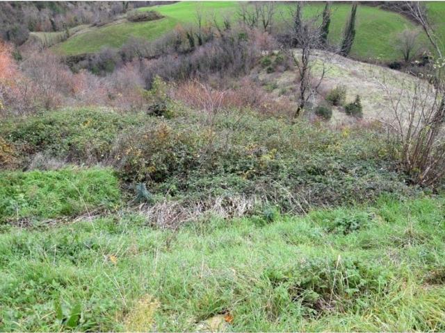 Terreno in vendita di 1753 m² in Strada Ex Arf Vallicella Butrio, 97