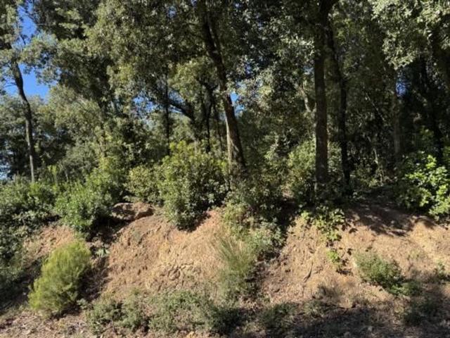 Terreno in vendita di 17575 m² in Via Belvedere