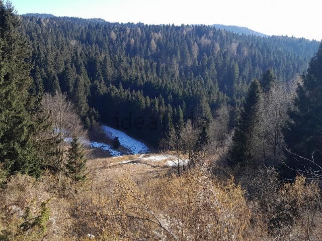 Terreno in vendita di 17600 m²