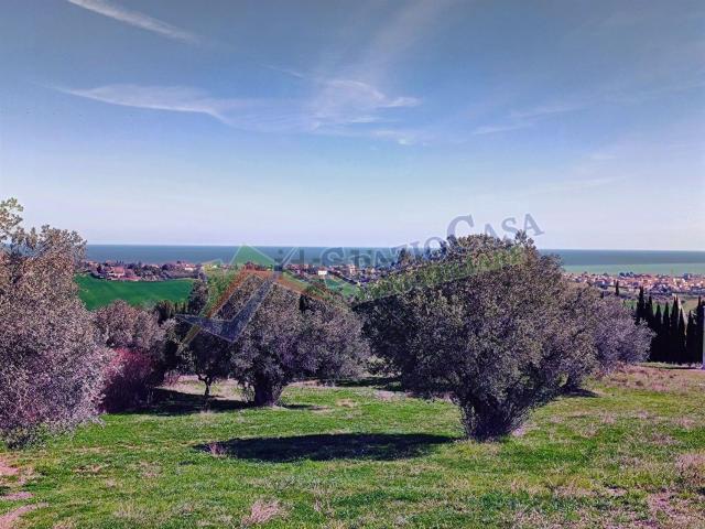 Terreno in vendita di 17652 m² in Contrada Colle Santa Maria, 50