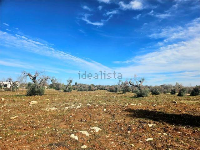 Terreno in vendita di 17685 m²