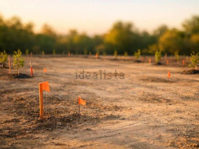 Terreno in vendita di 1770 m² in Località Quarto Superiore