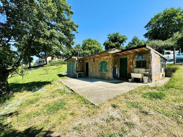 Terreno in vendita di 17724 m² in Strada della Fabbreccia