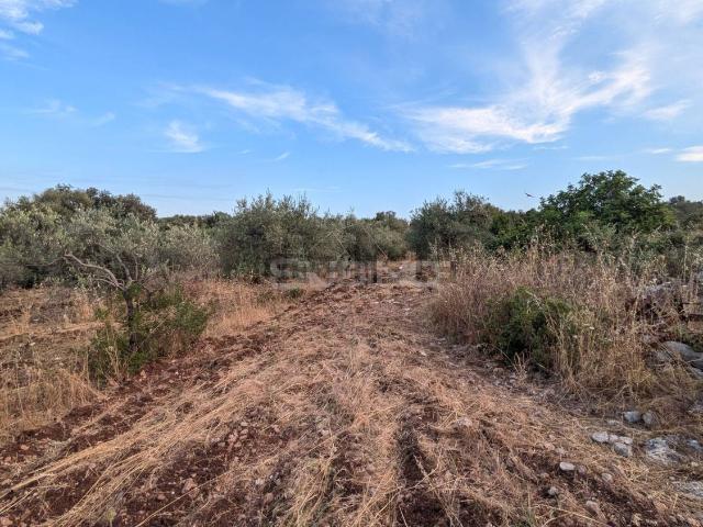 Terreno in vendita di 17783 m² in Traversa Case Nuove