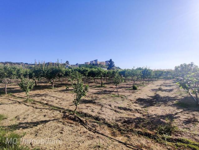Terreno in vendita di 17835 m² in Strada Statale 113 Settentrionale Sicula