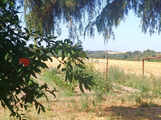 Terreno in vendita di 170000 m² in Località San Giuliano