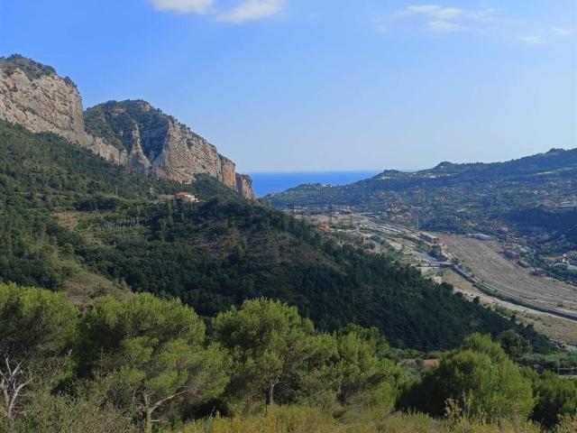 Terreno in vendita di 17000 m²