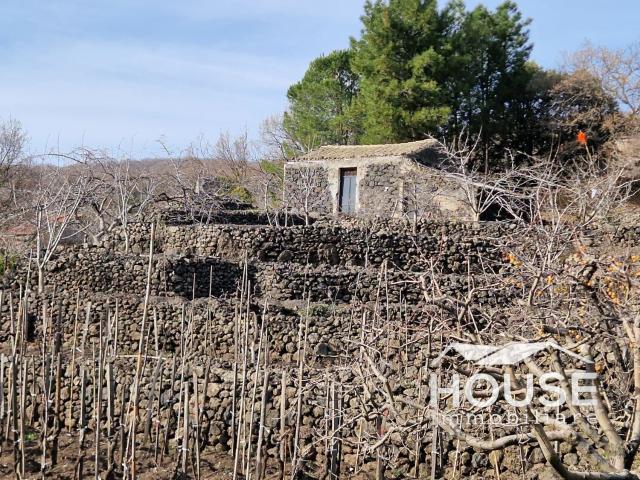 Terreno in vendita di 17000 m²