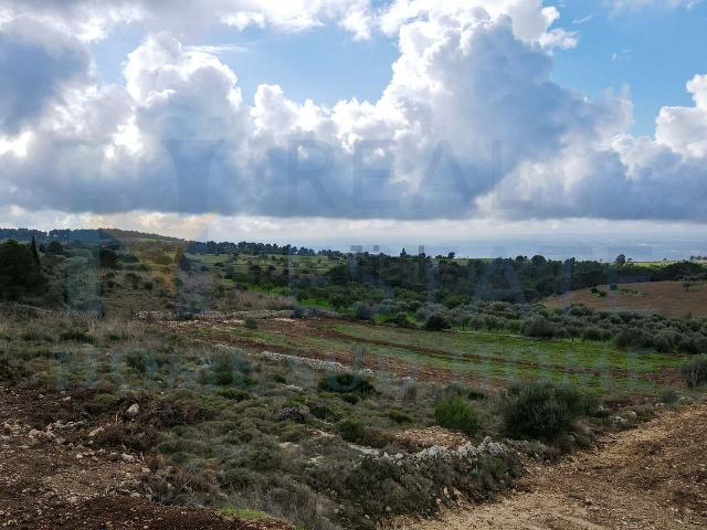 Terreno in vendita di 17000 m² in Via Tommaso Fazello, 228