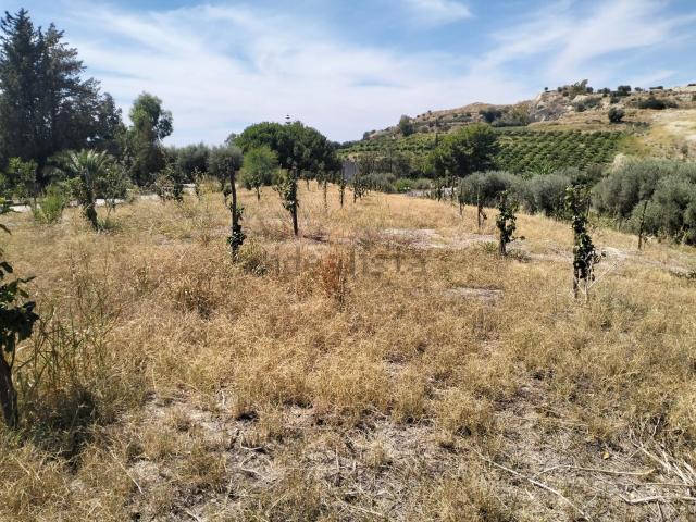 Terreno in vendita di 17000 m² in Viale degli Aranci