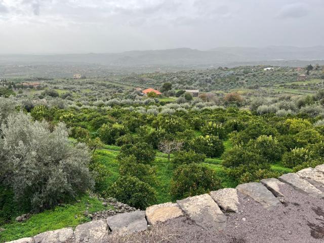 Terreno in vendita di 17000 m² in Contrada Buglio