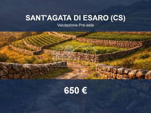 Terreno in vendita di 1715 m² in Strada Senza Nome