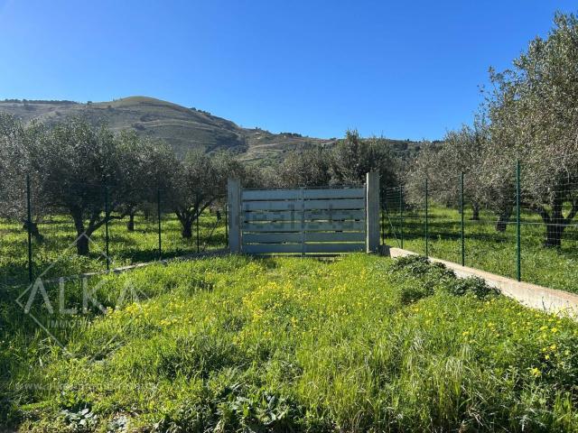 Terreno in vendita di 17195 m²