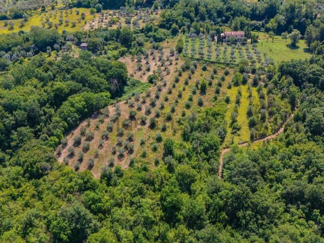 Terreno in vendita di 17299 m² in Via Tancia