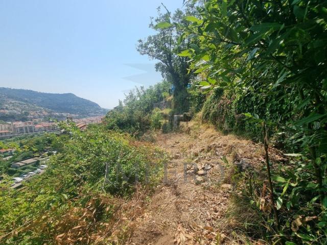 Terreno in vendita di 1729 m² in Via Daffra, 20