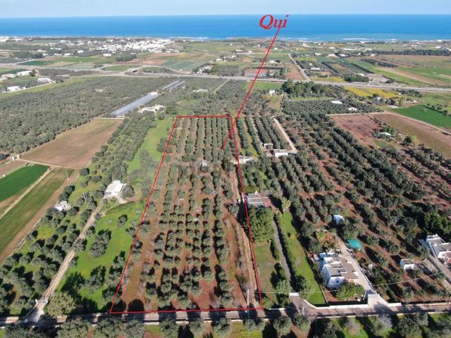 Terreno in vendita di 17326 m² in Contrada MORGICCHIO, 10
