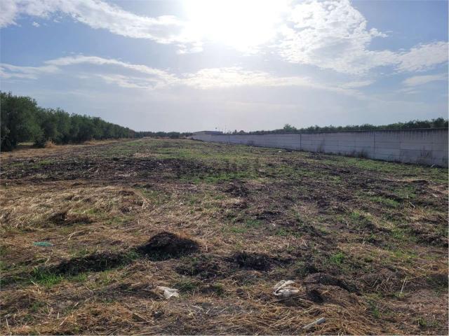 Terreno in vendita di 18500 m² in Via Santuario Madonna di Ripalta