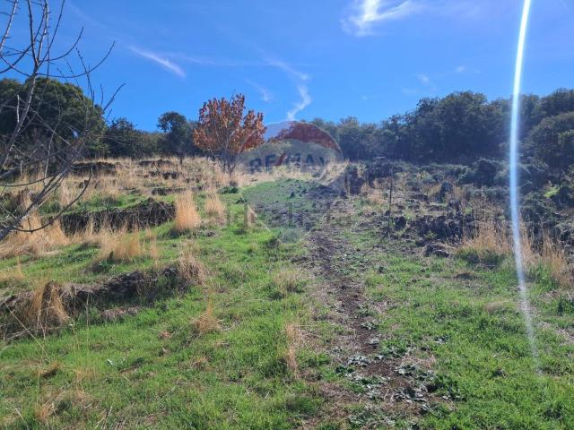 Terreno in vendita di 18500 m² in Contrada Cavaliere Bosco