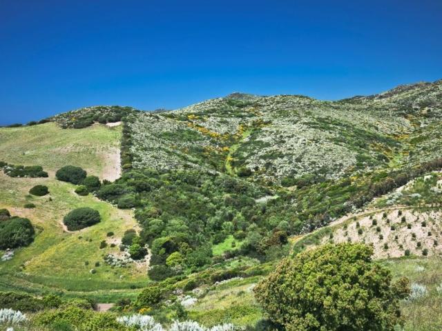 Terreno in vendita di 186467 m² in Via Amendola