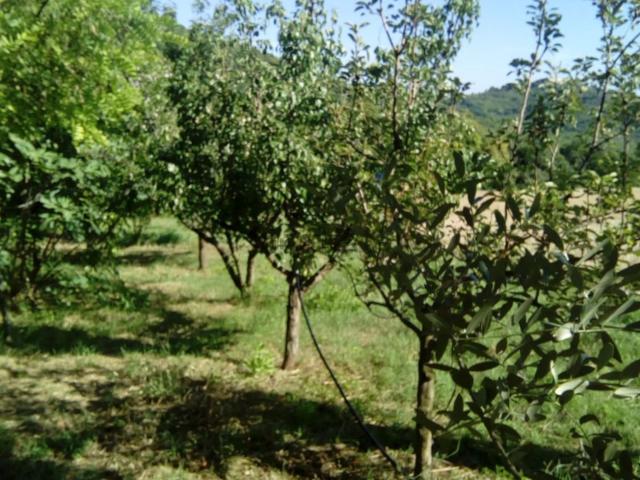 Terreno in vendita di 18759 m²