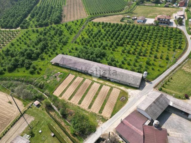 Terreno in vendita di 18878 m²