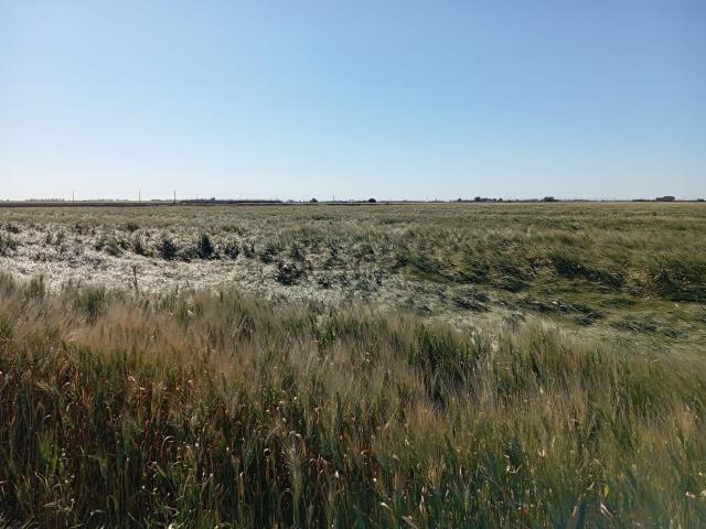 Terreno in vendita di 180000 m² in Via Manfredonia