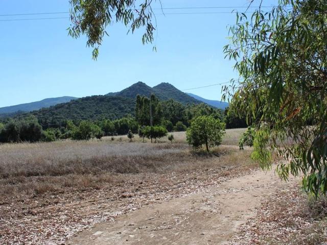 Terreno in vendita di 180000 m² in Via San Pietro