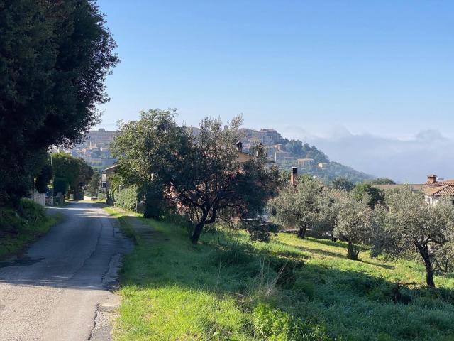 Terreno in vendita di 18000 m² in Via di Vallelunga