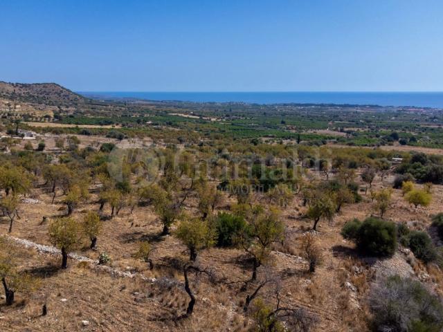 Terreno in vendita di 18000 m² in Contrada Petrara