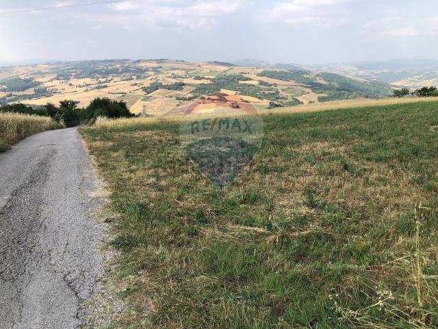 Terreno in vendita di 1800 m² in Contrada Pescare