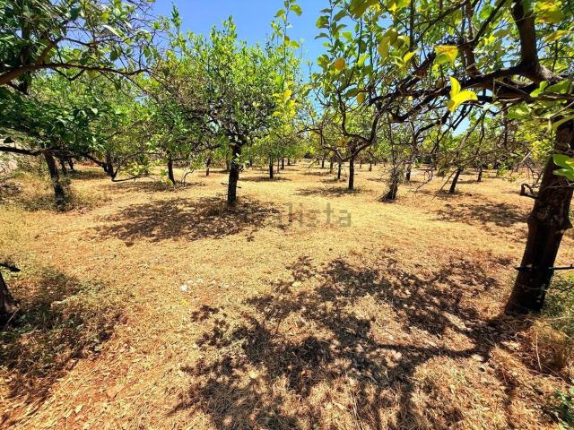 Terreno in vendita di 1800 m² in Contrada Petrara