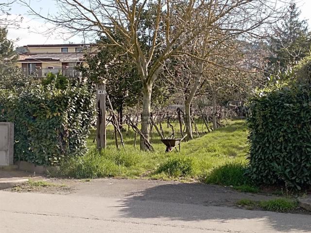 Terreno in vendita di 1800 m² in Contrada Piano Morra