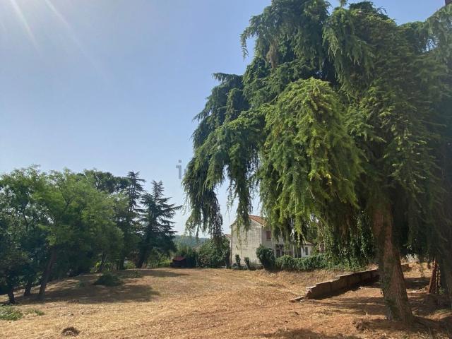 Terreno in vendita di 1800 m² in Via Monsignore Lasagna