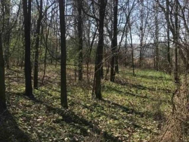 Terreno in vendita di 18050 m² in Località Canonica