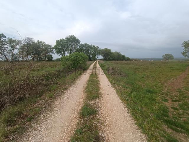 Terreno in vendita di 181000 m² in Via Della Massa