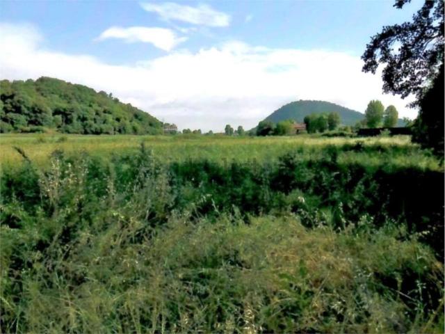 Terreno in vendita di 18225 m² in Via dei Roveri