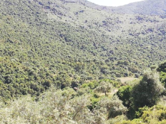 Terreno in vendita di 183 m² in Via Roma