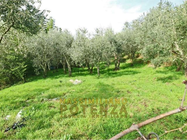 Terreno in vendita di 1940 m² in Via Panoramica