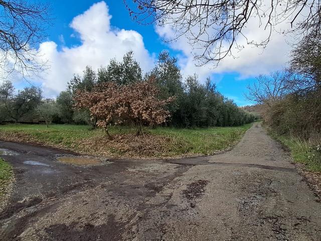 Terreno in vendita di 19500 m² in Via Grilli, 8