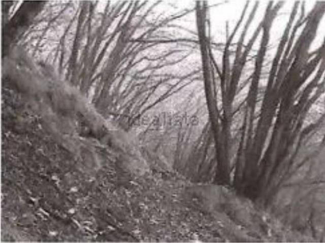 Terreno in vendita di 19565 m² in Corso Italia